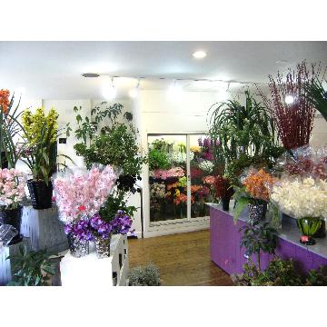 新潟県新潟市 中央区の花屋 フルール アルブル をご紹介 フラワーギフトはプロのお花屋さんにおまかせ フジテレビフラワーネット