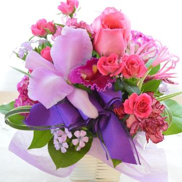 ＜フジテレビフラワーネット＞ プチ贅沢なアレンジ LoveSense （カトレアとバラのフラワーアレンジメント）ピンク系 誕生日、結婚記念日、お祝い