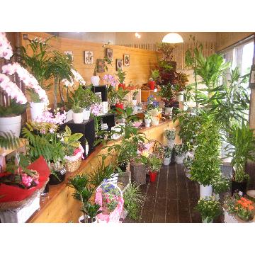 新潟県三条市の花屋 有 花里家 をご紹介 フラワーギフトはプロのお花屋さんにおまかせ フジテレビフラワーネット