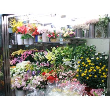 神奈川県海老名市の花屋 有 大西生花店 をご紹介 フラワーギフトはプロのお花屋さんにおまかせ フジテレビフラワーネット