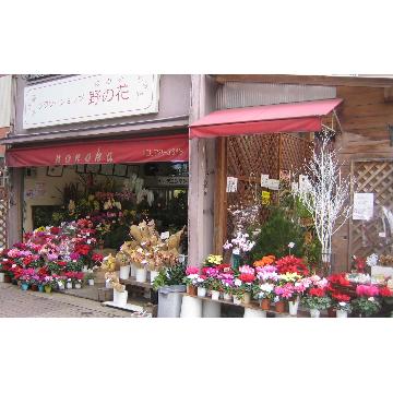 福岡県福岡市 中央区の花屋 フラワーショップ野の花 をご紹介 フラワーギフトはプロのお花屋さんにおまかせ フジテレビフラワーネット