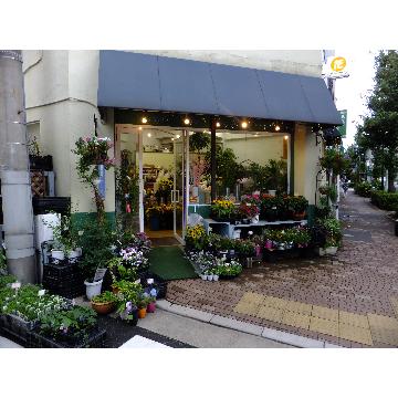 東京都荒川区の花屋 花のヴィンテージ をご紹介 フラワーギフトはプロのお花屋さんにおまかせ フジテレビフラワーネット