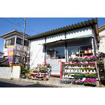 千葉県習志野市の花屋 株 ろおたす をご紹介 フラワーギフトはプロのお花屋さんにおまかせ フジテレビフラワーネット