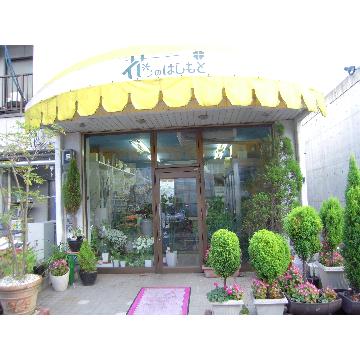 広島県府中市の花屋 花のはしもと をご紹介 フラワーギフトはプロのお花屋さんにおまかせ フジテレビフラワーネット