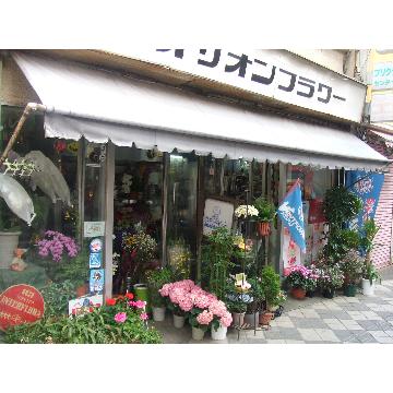 山梨県甲府市の花屋 有 オリオンフラワー をご紹介 フラワーギフトはプロのお花屋さんにおまかせ フジテレビフラワーネット