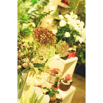 大阪府高槻市の花屋 ｌｅｓ ｊｏｕｒｓ レ ジュール をご紹介 フラワーギフトはプロのお花屋さんにおまかせ フジテレビフラワーネット