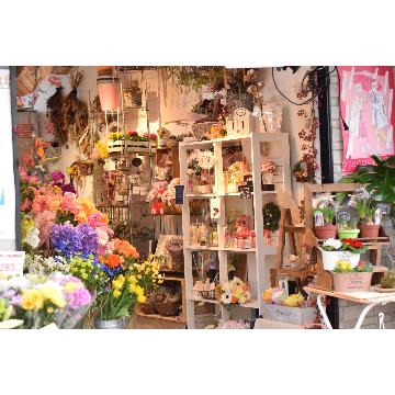 大阪府大阪市 西淀川区の花屋 フローラルハウス山本 をご紹介 フラワーギフトはプロのお花屋さんにおまかせ フジテレビフラワーネット