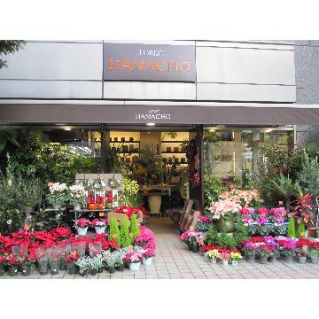 東京都中央区の花屋 ｆｌｏｒｉｓｔ ｈａｎａｃｈｏ をご紹介 フラワーギフトはプロのお花屋さんにおまかせ フジテレビフラワーネット