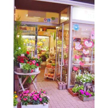 兵庫県尼崎市の花屋 ｆｌｏｗｅｒ ｓｈｏｐ 花物語 をご紹介 フラワーギフトはプロのお花屋さんにおまかせ フジテレビフラワーネット