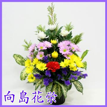 ＜フジテレビフラワーネット＞ 菊とスプレー菊の仏花アレンジメント