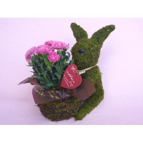 Plant Moss@Rabbit@Pink@2