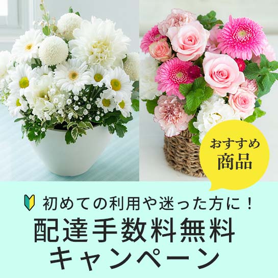 はじめての方応援キャンペーン
