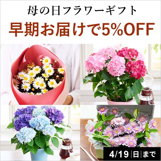 母の日早期お届けキャンペーン