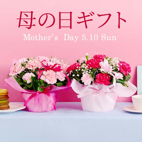 2026年母の日フラワーギフト
