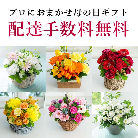 おまかせセレガイド配達手数料無料キャンペーン