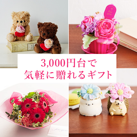 3000円台のギフト