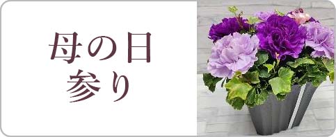 母の日参り