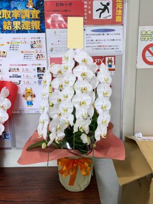 北海道札幌市 中央区の花屋 Flower Space Gravel札幌駅前店 をご紹介 フラワーギフトはプロのお花屋さんにおまかせ フジテレビフラワーネット