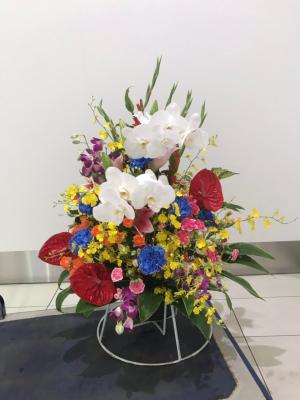 北海道千歳市の花屋 花のはしづめ をご紹介 フラワーギフトはプロのお花屋さんにおまかせ フジテレビフラワーネット