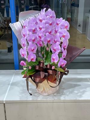 岩手県盛岡市の花屋 有 花ごころ をご紹介 フラワーギフトはプロのお花屋さんにおまかせ フジテレビフラワーネット