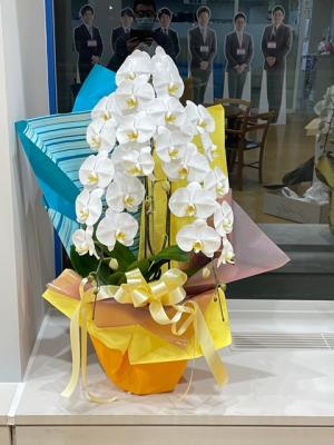 岩手県盛岡市の花屋 有 花ごころ をご紹介 フラワーギフトはプロのお花屋さんにおまかせ フジテレビフラワーネット