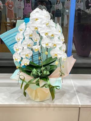 岩手県盛岡市の花屋 有 花ごころ をご紹介 フラワーギフトはプロのお花屋さんにおまかせ フジテレビフラワーネット