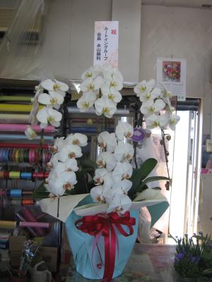長野県佐久市の花屋 信濃植物園 をご紹介 フラワーギフトはプロのお花屋さんにおまかせ フジテレビフラワーネット