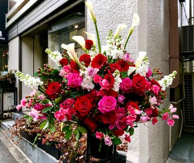 東京都港区の花屋 花屋六本木 をご紹介 フラワーギフトはプロのお花屋さんにおまかせ フジテレビフラワーネット