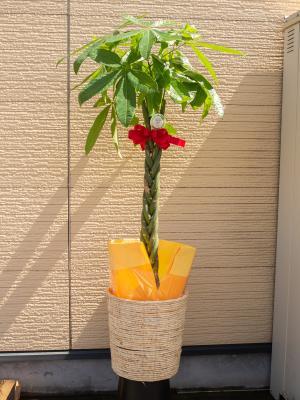 埼玉県坂戸市の花屋 花職人 をご紹介 フラワーギフトはプロのお花屋さんにおまかせ フジテレビフラワーネット