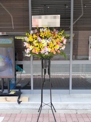 神奈川県横浜市 港北区の花屋 有 飯島生花店 をご紹介 フラワーギフトはプロのお花屋さんにおまかせ フジテレビフラワーネット