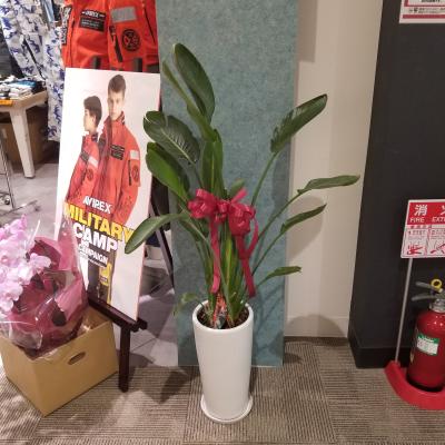 愛知県長久手市の花屋 フローリストよつ葉 をご紹介 フラワーギフトはプロのお花屋さんにおまかせ フジテレビフラワーネット