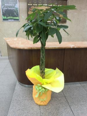 富山県魚津市の花屋 フラワーショップえぐちや をご紹介 フラワーギフトはプロのお花屋さんにおまかせ フジテレビフラワーネット