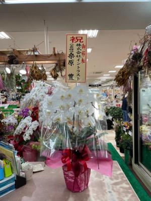 福井県敦賀市の花屋 フラワーショップ花友 をご紹介 フラワーギフトはプロのお花屋さんにおまかせ フジテレビフラワーネット