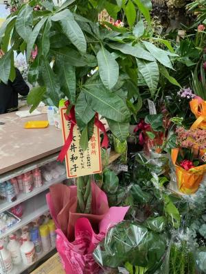 福井県敦賀市の花屋 フラワーショップ花友 をご紹介 フラワーギフトはプロのお花屋さんにおまかせ フジテレビフラワーネット