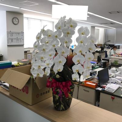 滋賀県草津市の花屋 フラワーショップオーキッド をご紹介 フラワーギフトはプロのお花屋さんにおまかせ フジテレビフラワーネット