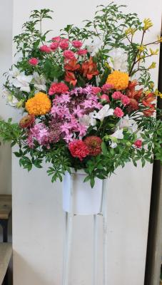 奈良県奈良市の花屋 花工房百花繚乱学園前店 をご紹介 フラワーギフトはプロのお花屋さんにおまかせ フジテレビフラワーネット