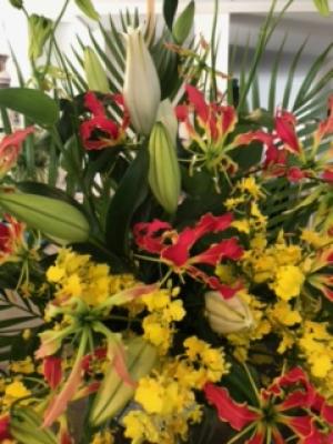兵庫県西宮市の花屋 ヴェロニカ をご紹介 フラワーギフトはプロのお花屋さんにおまかせ フジテレビフラワーネット