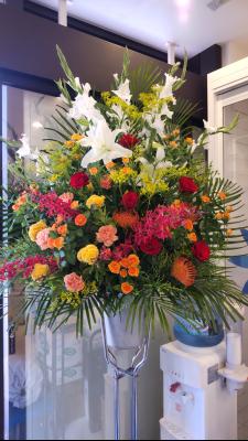 福岡県福岡市 西区の花屋 株 花かず をご紹介 フラワーギフトはプロのお花屋さんにおまかせ フジテレビフラワーネット