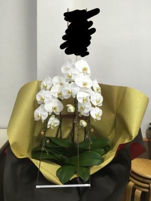 福岡県久留米市の花屋 花のエーシン をご紹介 フラワーギフトはプロのお花屋さんにおまかせ フジテレビフラワーネット