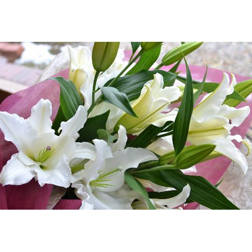 花束 白ユリの花束 3 花屋 ｋａｚｕ のオリジナル商品 フラワーギフトはプロのお花屋さんにおまかせ フジテレビフラワーネット