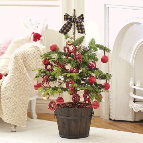 クリスマス】フレッシュクリスマスツリー＆オーナメントセット」| 花屋